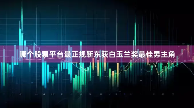 哪个股票平台最正规靳东获白玉兰奖最佳男主角